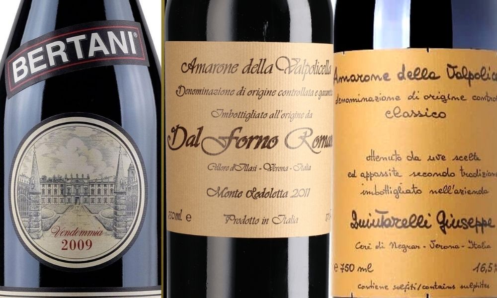 famous italian amarone wines