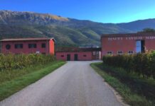 Cataldi Madonna