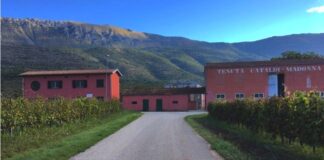 Cataldi Madonna