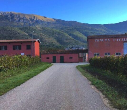 Cataldi Madonna