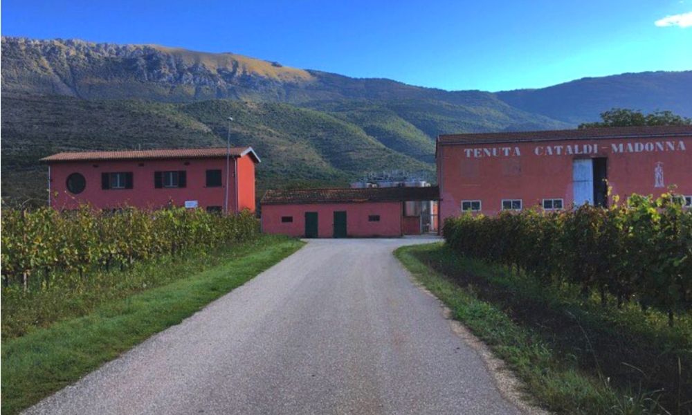 Cataldi Madonna Wines - Italy's Finest Wines