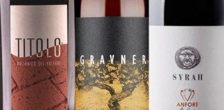 Migliori 20 Vini in Anfora Italiani