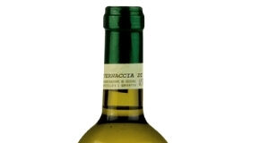Vernaccia di San Gimignano DOCG 2020 – Bonacchi