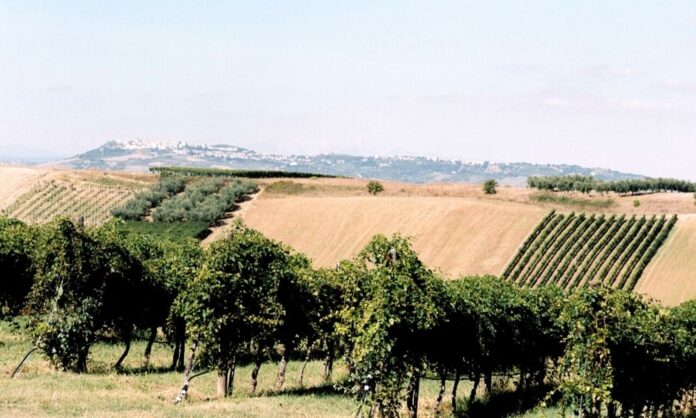 2molise morante di maio