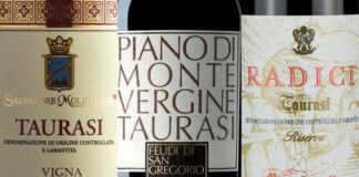 Best Taurasi Wines