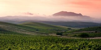 Elenco DOC e DOCG della Sicilia