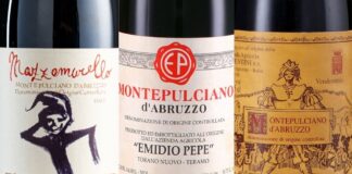 Best 12 Montepulciano d’Abruzzo
