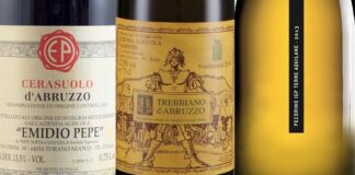 Best 20 Abruzzo Wines (2023)