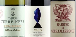Best 20 Wines of Sicily (2023)