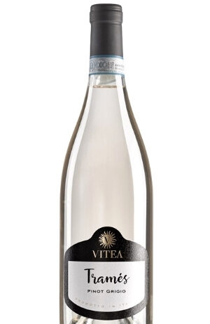 Tramès Pinot Grigio DOC 2020 – Cantine Vitea
