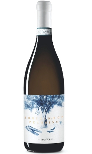 2cantina tollo vini