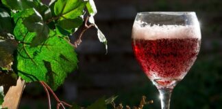 LAMBRUSCO – 10 Things to Know about the Italian Red Sparkling Wine