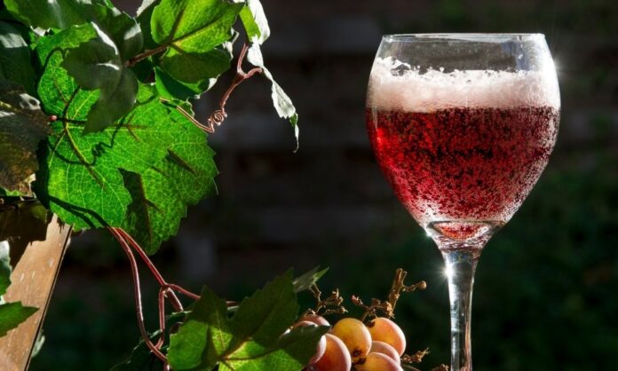 2migliori vini emilia romagna