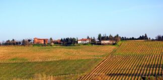 Elenco DOC e DOCG dell’Emilia Romagna