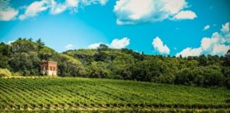 Best Chianti Classico Value for Money