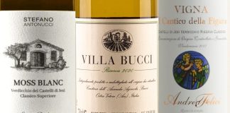 Top 20 Verdicchio Wines MIGLIORI VERDICCHIO