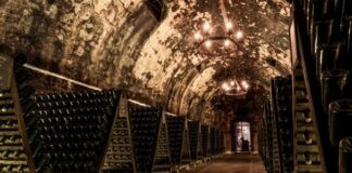 Metodo Classico: Vino | Caratteristiche | Abbinamenti