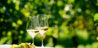 Vini Bianchi Piemontesi: Vitigni, DOC, DOCG e Migliori Vini