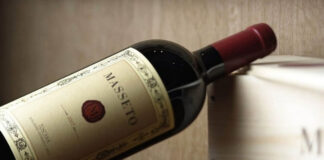 Masseto – Vino | Migliori Annate | Abbinamenti