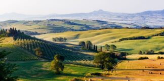 Wines of Tuscany – History, Terroir, Grapes & Food Pairings
