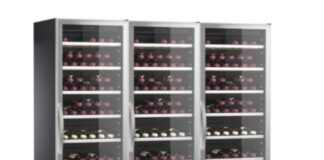 Best 20 Wine Coolers and Wine Fridges (2023)