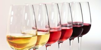 Wine Types: 10 Most Common & Best Food Pairings wine types