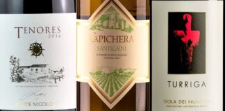 Best 20 Wines of Sardinia (2023)