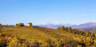 Elenco DOC e DOCG del Friuli Venezia Giulia
