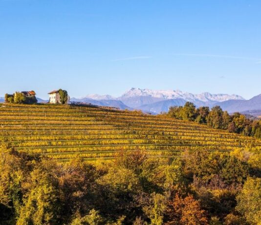 Elenco DOC e DOCG del Friuli Venezia Giulia