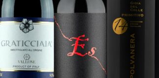 Top 20 Wines from Puglia (2025)