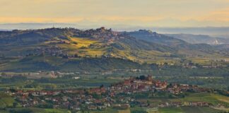 Wines of Piedmont – DOC and DOCG, Grapes & Food Pairings