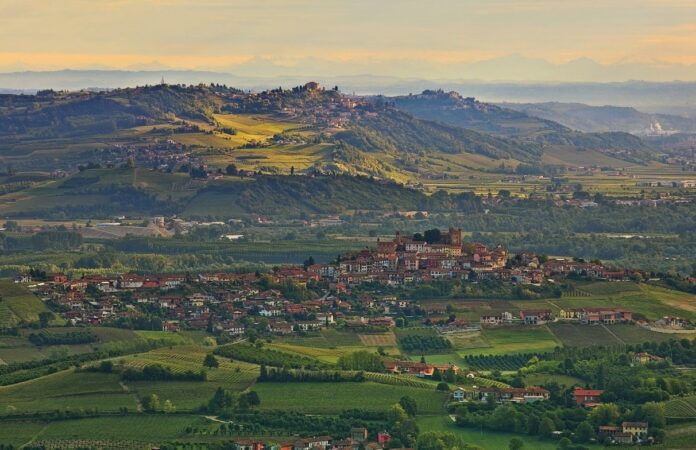 piedmont wines