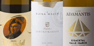 Best Wines from Alto Adige – South Tyrol (2026)