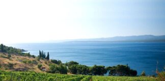 Elenco DOC e DOCG della Calabria