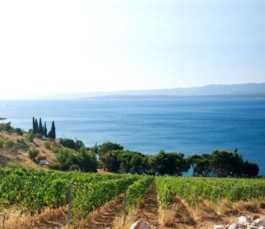 Elenco DOC e DOCG della Calabria