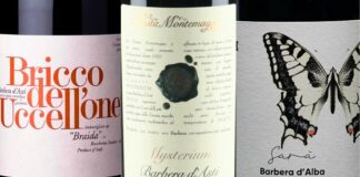 The 20 Best Barbera Wines (2025)