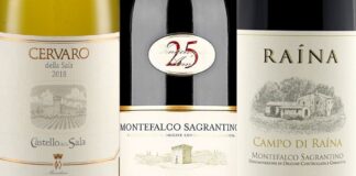 Migliori 20 Vini dell’Umbria (2026)