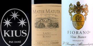 Best 12 Lazio Wines (2023)