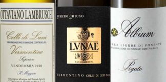 Migliori 20 Vini della Liguria (Aggiornato 2026)
