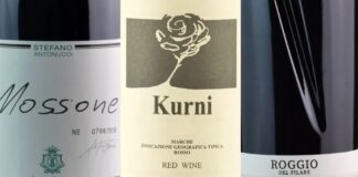 Best 20 Wines from Marche (2023)