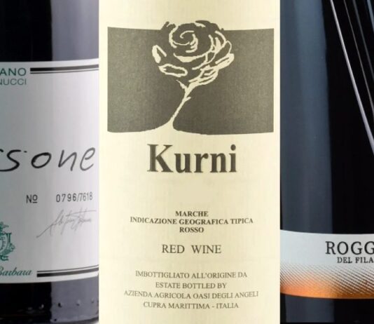 Best 20 Wines from Marche (2023)