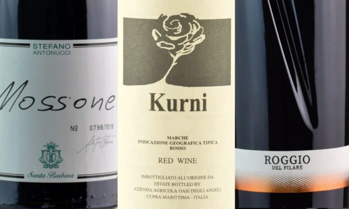 migliori vini marche