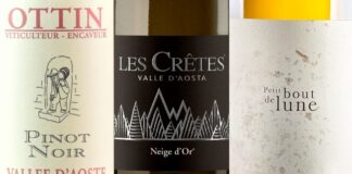 Migliori 20 Vini della Valle d’Aosta (2026)