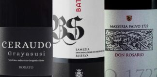 Migliori 20 Vini Calabresi (2026)