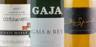 The 20 Best 20 Wines of Piedmont (2025)