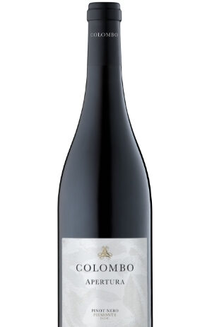 Pinot Nero ‘Apertura’ 2017 – Cascina Pastori Colombo