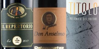 Migliori 20 Vini della Basilicata (2026)