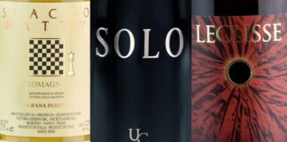 Migliori 20 Vini dell’Emilia Romagna (Aggiornato 2026)