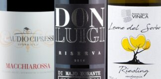 Migliori 20 Vini del Molise (2026)