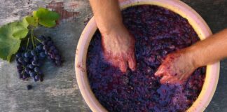 How to make wine at home in 10 simple steps